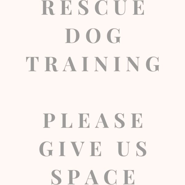 Rescue Dog In Training 2 Thumbnail