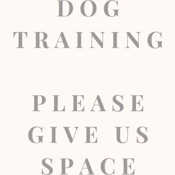 Rescue Dog In Training 3 Thumbnail