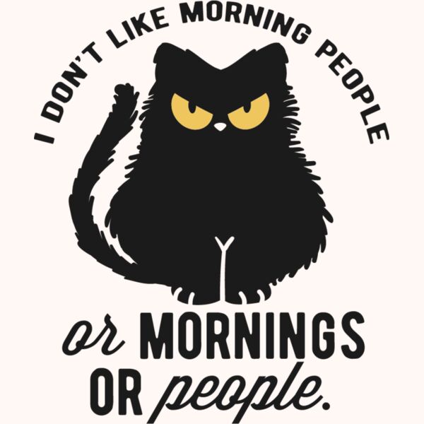 I dont like morning people Thumbnail