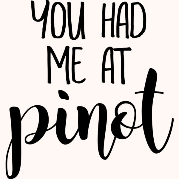 youhadmeatpinot joyfulcreationskelowna Thumbnail