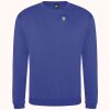 Pro sweatshirt Thumbnail