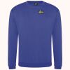 Pro sweatshirt Thumbnail
