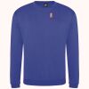 Pro sweatshirt Thumbnail