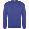 Pro sweatshirt Thumbnail