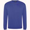 Pro sweatshirt Thumbnail