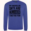 Pro sweatshirt Thumbnail