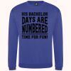 Pro sweatshirt Thumbnail